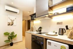 Mount Elizabeth Link (D9), Condominium #514674941